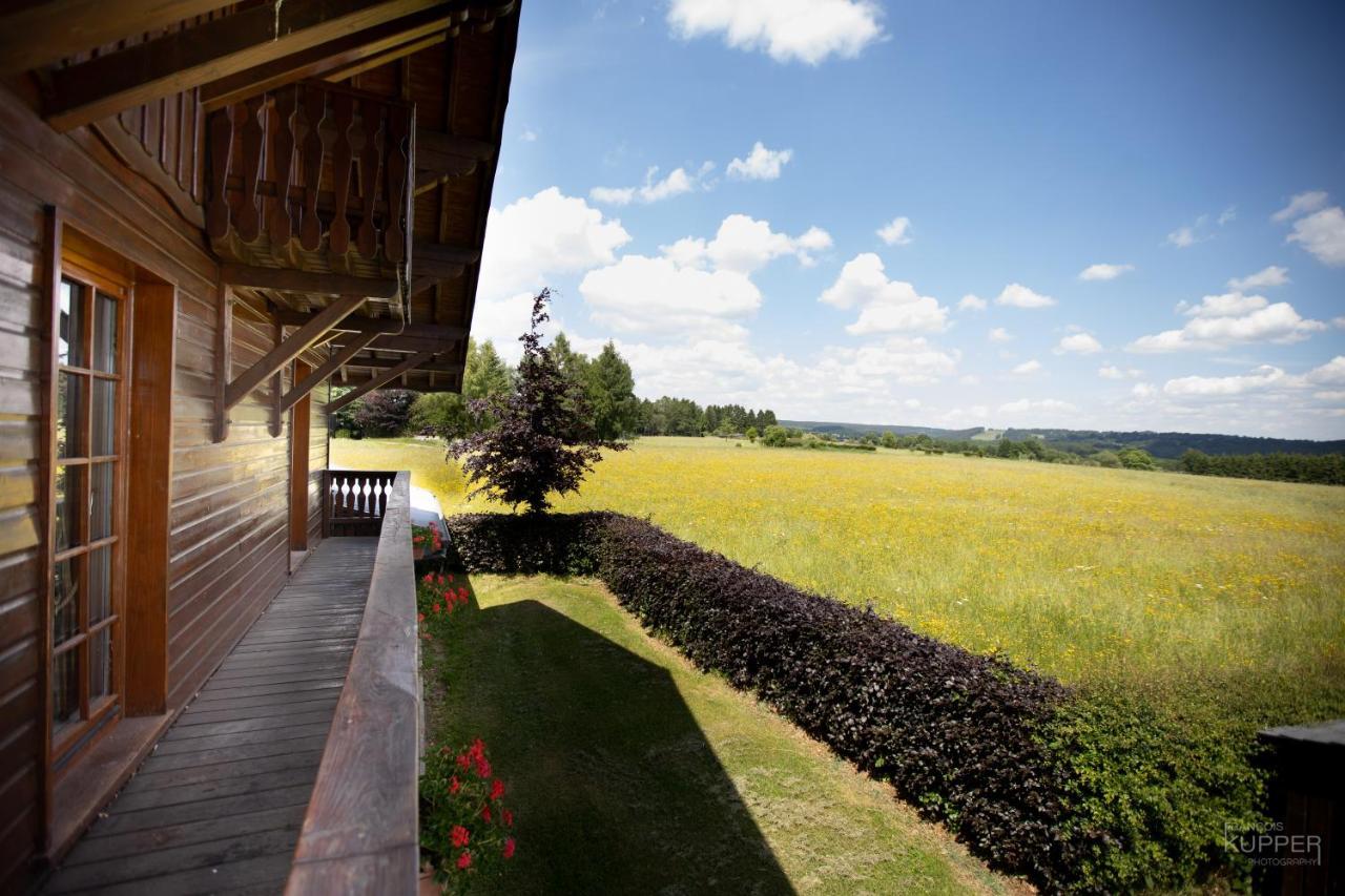 Le Gagnage 31 Pers- Malmedy, Rustique, Vue, Wellness Villa Eksteriør bilde