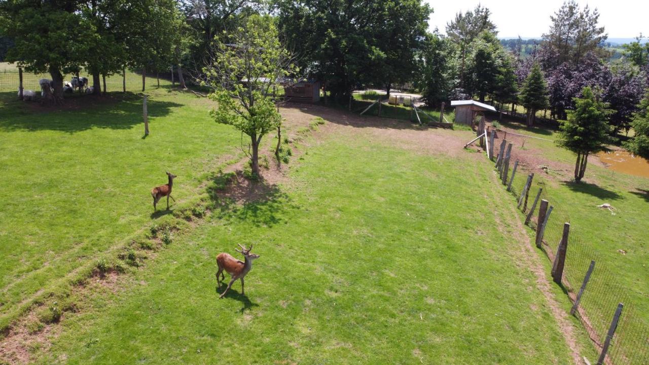 Le Gagnage 31 Pers- Malmedy, Rustique, Vue, Wellness Villa Eksteriør bilde